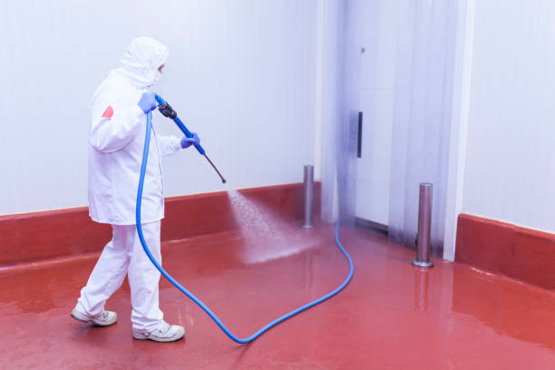Best Pool Deck Cleaning  in North Fork, CA